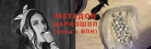 гидра Надым
