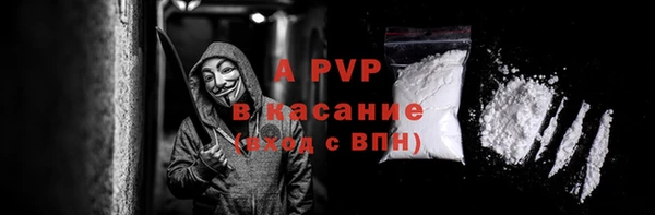 гидра Надым