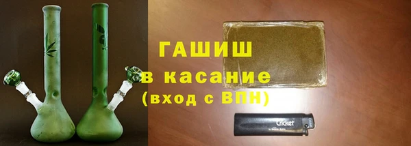 гидра Надым