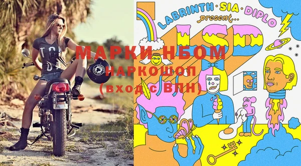 гидра Надым