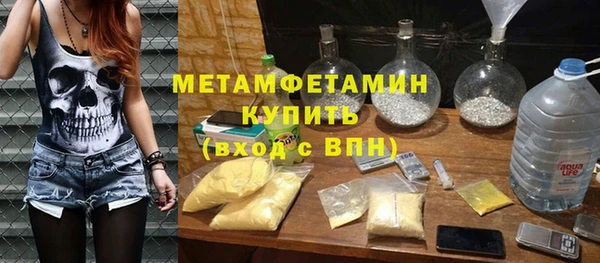 гидра Надым