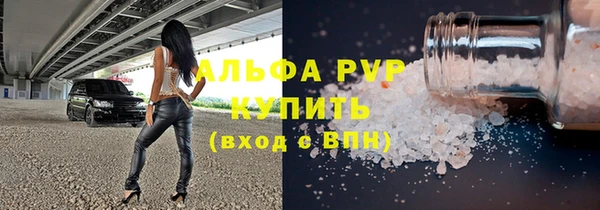 гидра Надым
